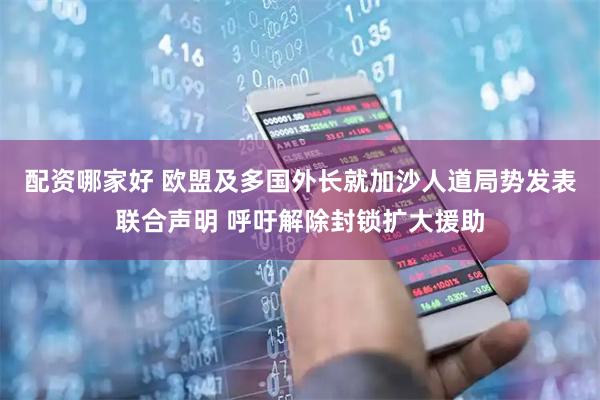 配资哪家好 欧盟及多国外长就加沙人道局势发表联合声明 呼吁解除封锁扩大援助