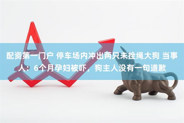 配资第一门户 停车场内冲出两只未拴绳大狗 当事人：6个月孕妇被吓，狗主人没有一句道歉