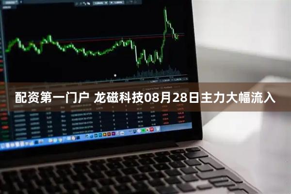 配资第一门户 龙磁科技08月28日主力大幅流入
