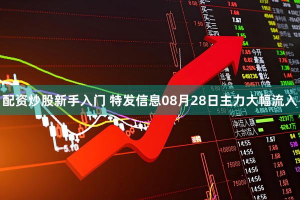 配资炒股新手入门 特发信息08月28日主力大幅流入