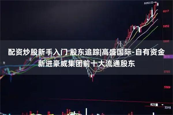 配资炒股新手入门 股东追踪|高盛国际-自有资金新进豪威集团前十大流通股东