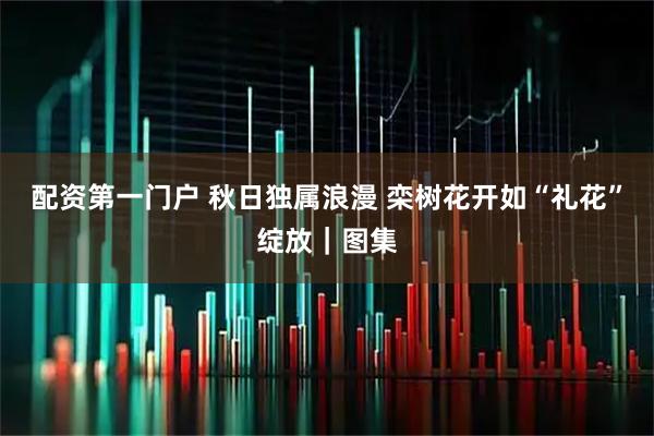 配资第一门户 秋日独属浪漫 栾树花开如“礼花”绽放｜图集