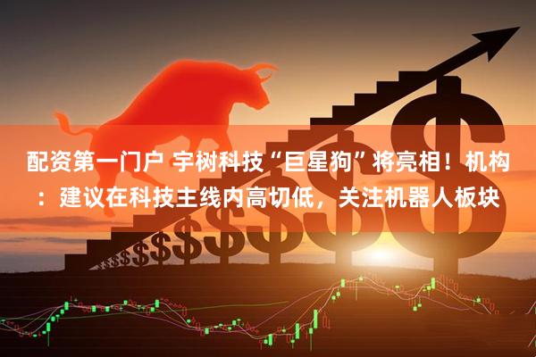 配资第一门户 宇树科技“巨星狗”将亮相！机构：建议在科技主线内高切低，关注机器人板块